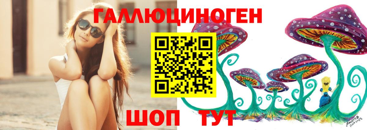 Владимир  Галлюциногенные грибы Cubensis  наркошоп  Вход с VPN 